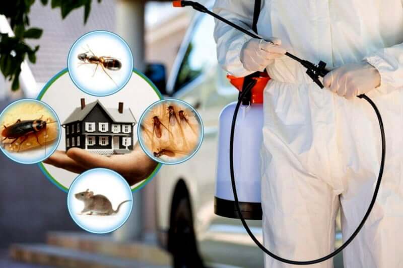  pest control about us image